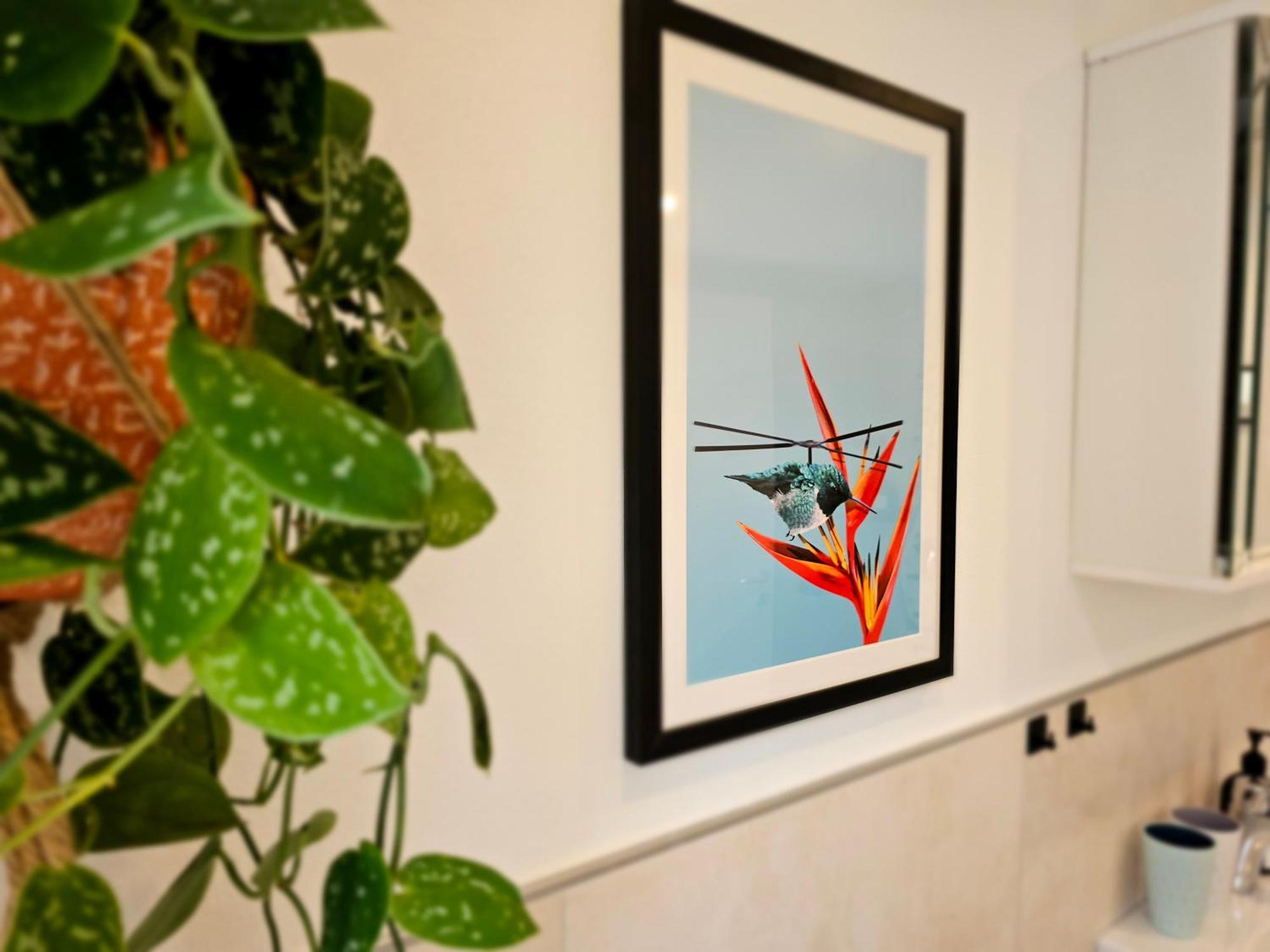 Kolibri - Design Maisonette - Nintendo Switch, Streaming, Bikestore, E-Wallbox Marburg Exterior foto